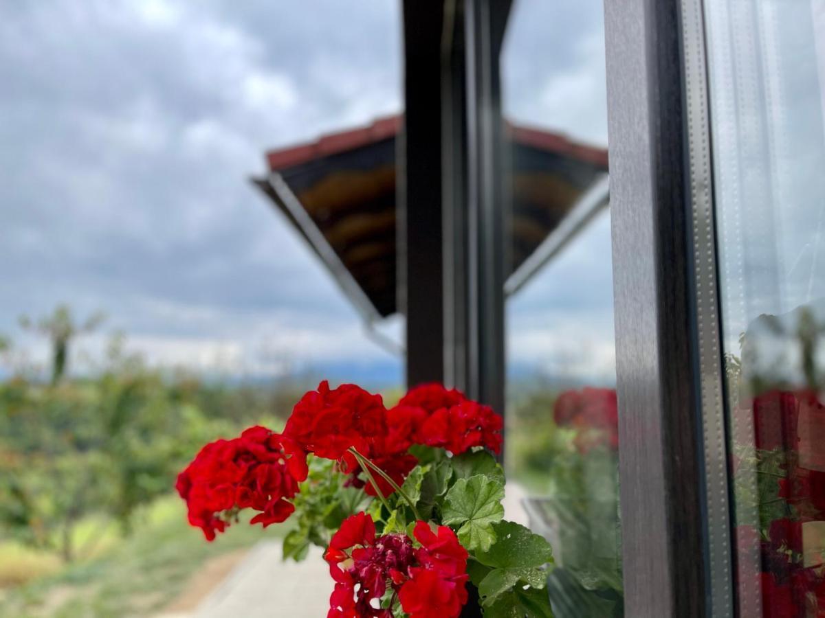 Cabana Dintre Fagi Poiana Mărului Exterior foto